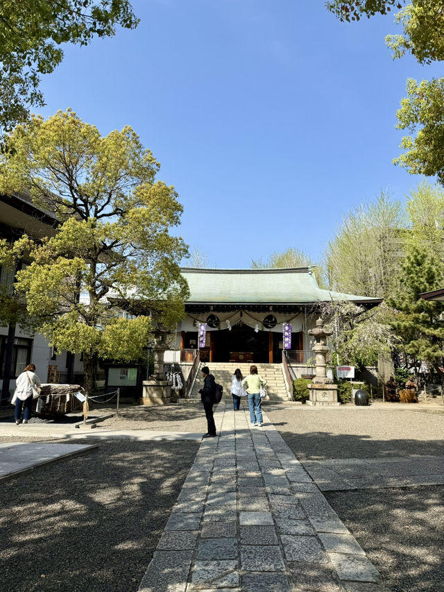 Spring Vibes at Kameido Katori Shrine