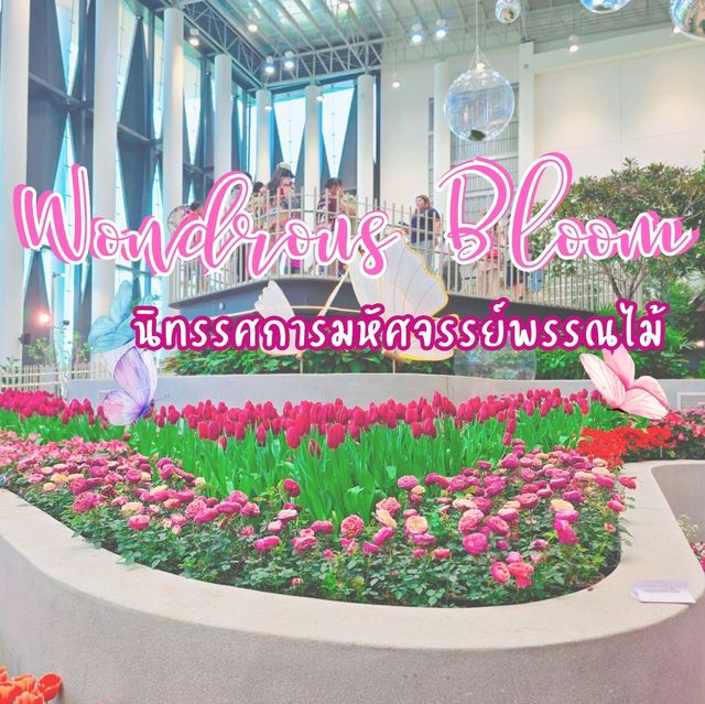 ที่เที่ยวใหม่เมืองระยอง