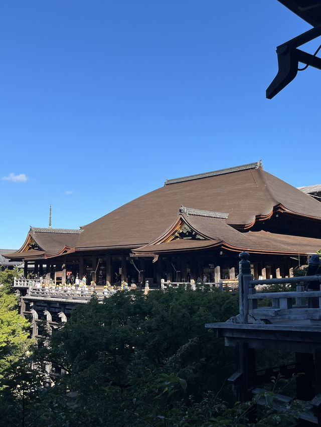 京都5間氣氛好、能量強的神社！感覺有點不一樣吧～