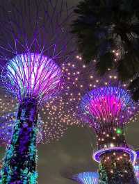 An Iconic Landmark💥SUPERTREE💥Grove @Singapore