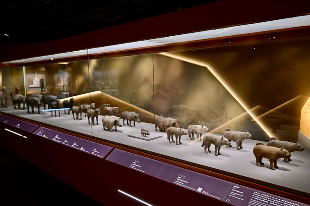 香港歷史博物館展出秦始皇兵馬俑等逾130套秦漢時期珍貴文物