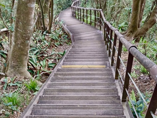 新店小獅頭山登高望遠去