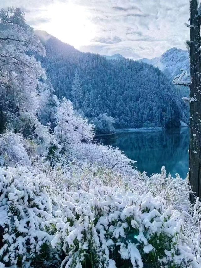 Tranquil Trails: Jiuzhaigou’s Winter Wonderland