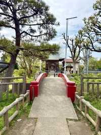 Spring Walk at Himonya Itsukushima-jinja Shrine