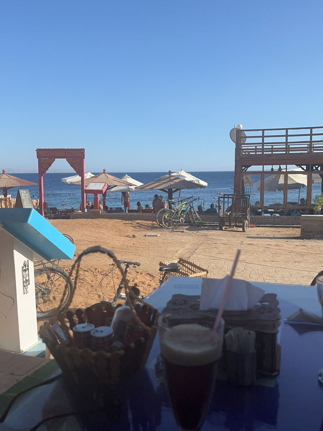 ダハブ旅行
