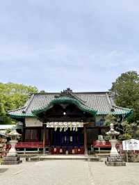 Springtime Charm at Kozan-ji Temple
