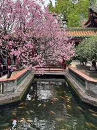 Baomo Garden: A Lingnan Masterpiece of History and Harmony