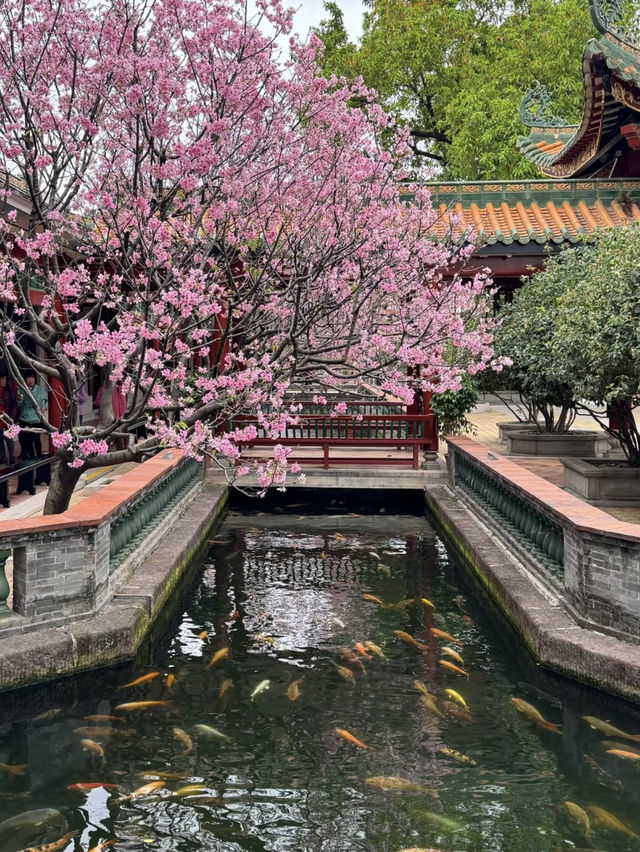 Baomo Garden: A Lingnan Masterpiece of History and Harmony