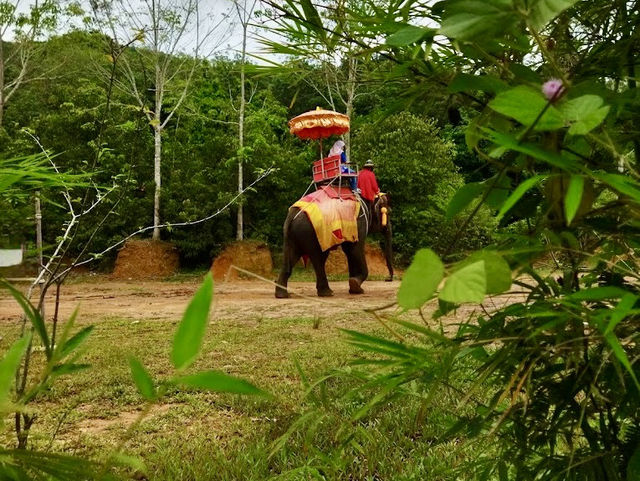 🐘 Chang Puak Elephant Camp Hat Yai: An Ethical Elephant Encounter in Nature 🍃
