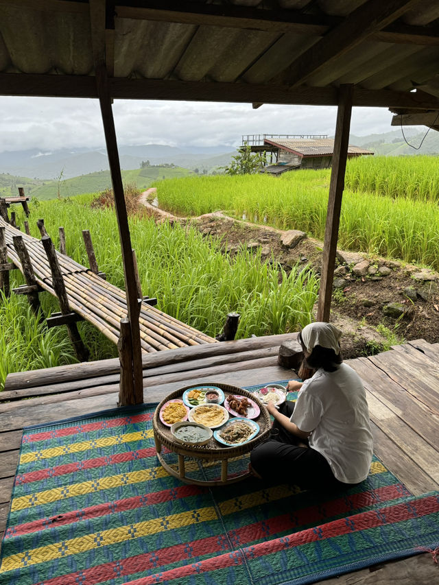 ที่พักบ้านป่าบงเปียง จ.เชียงใหม่ 🏡⛰️🌦️🌾