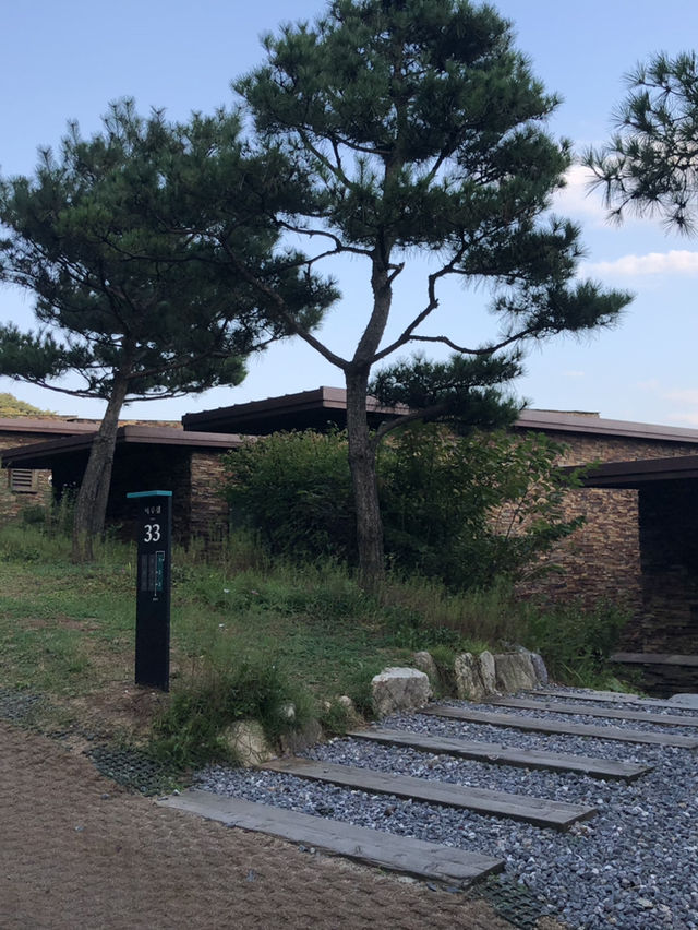 자연과 힐링을 동시에 즐길 수 있는 복합 리조트 제천 포레스트리솜