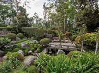 🍃 Zen Vibes Only: A Peaceful Pause at Bukit Tinggi’s Japanese Garden 🏯✨