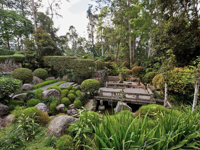 🍃 Zen Vibes Only: A Peaceful Pause at Bukit Tinggi’s Japanese Garden 🏯✨
