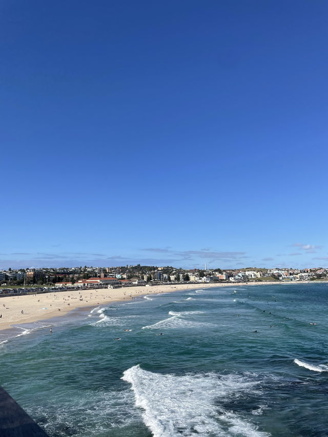 澳洲悉尼Bondi Beac🌊必打卡與大海連成一線的Icebergs Pool