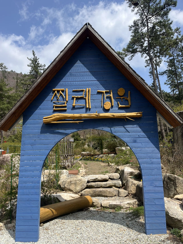 가득 심어진 봄꽃을 볼 수 있는 해남 여행지