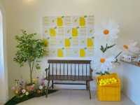 Lemon Thyme Cafe