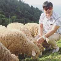 ตะลุยเที่ยวสุดชิว ที่เชียงใหม่ 🐑