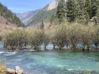 Jiuzhaigou # Part2 สวยเกินบรรยาย 