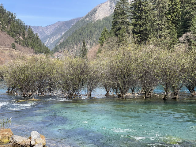 Jiuzhaigou # Part2 สวยเกินบรรยาย 