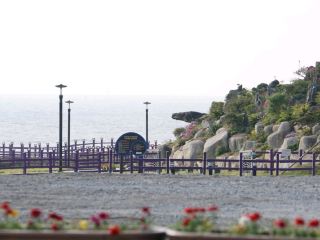 1004 Museum Park