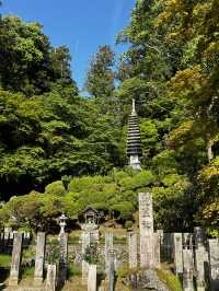「なんで誰も教えてくれなかったの…？」岡寺に立った瞬間、思わずそんな言葉がこぼれた🇯🇵✈️🌏 