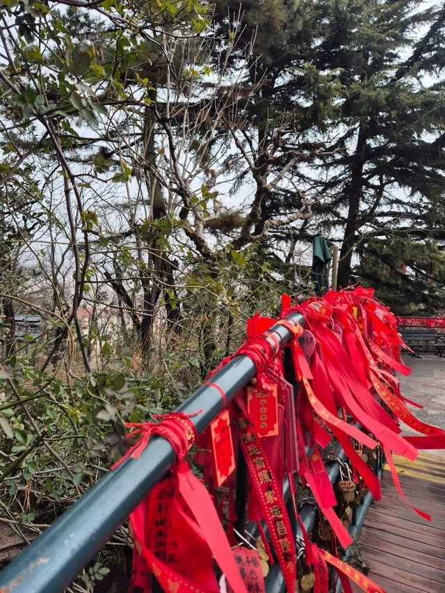 안개 낀 창다오 소어산 공원 전망대🇨🇳