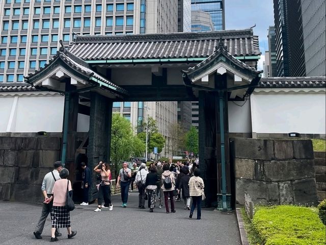 Royal Grounds, City Calm