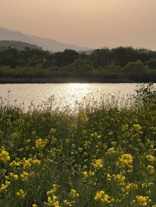 충주 여행을 계획 중이라면 혹은 충주가 궁금하다면