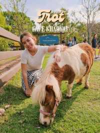 Trot Cafe Khaoyai 🐴