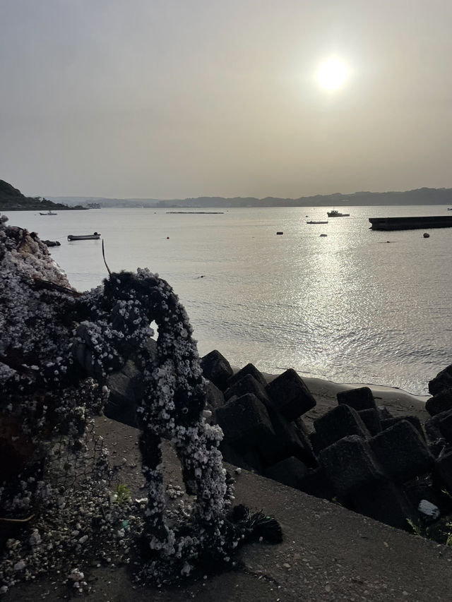 清新脫俗的神隱火山村🌸千尋櫻島