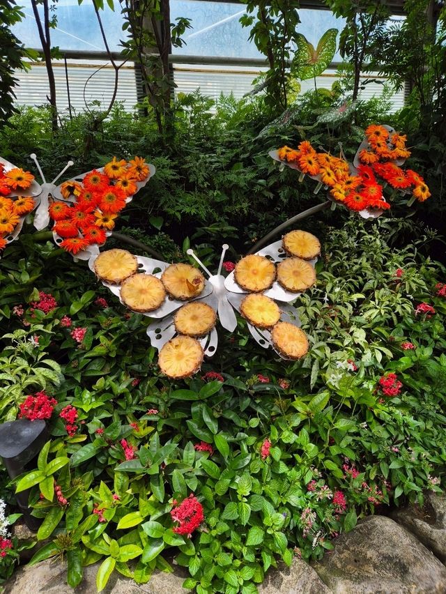 Colourful Blossoms at The Butterfly Garden