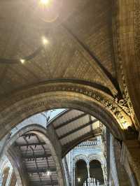 🦖 Natural History Museum, London UK 🦕