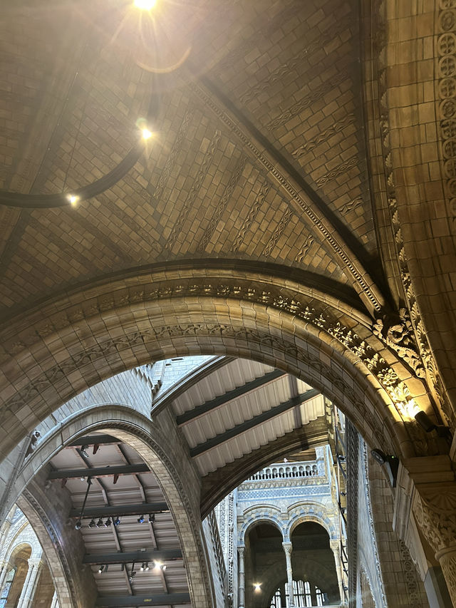 🦖 Natural History Museum, London UK 🦕