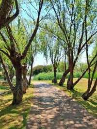 Baofeng Wetland