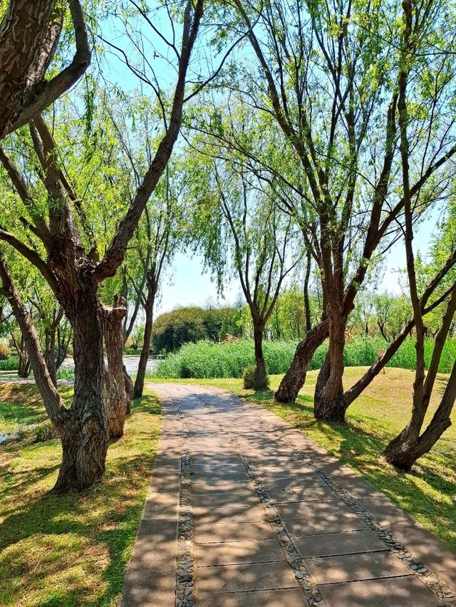 Baofeng Wetland