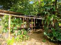 Tea House in Rainforest คาเฟ่พรหมคีรี นครศรี