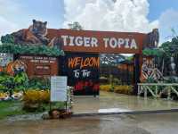 สวนเสือ Tiger Topia  ศรีราชา ที่เที่ยวใกล้กรุงเทพฯ