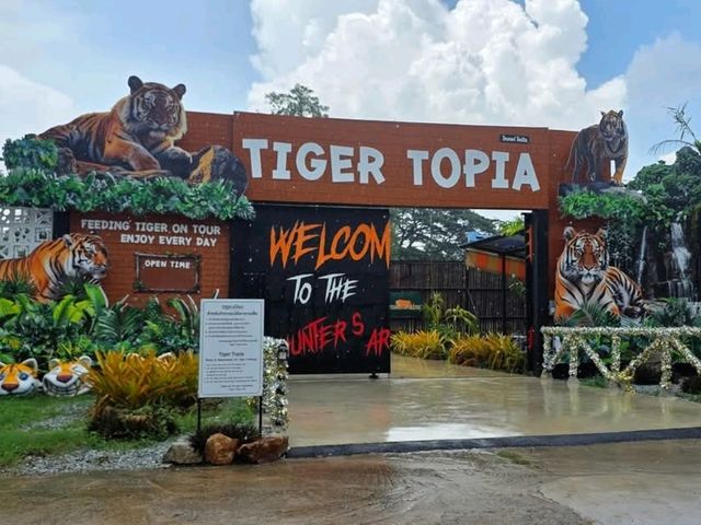 สวนเสือ Tiger Topia  ศรีราชา ที่เที่ยวใกล้กรุงเทพฯ