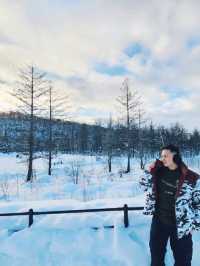 Frozen Beauty & Fairy Lights: Winter Road Trip from Asahikawa to Biei & Furano