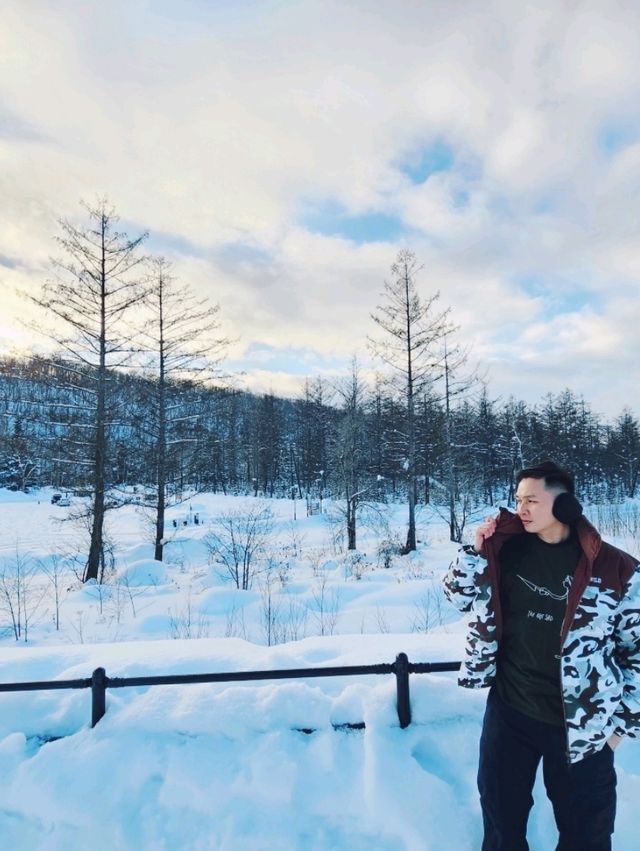 Frozen Beauty & Fairy Lights: Winter Road Trip from Asahikawa to Biei & Furano
