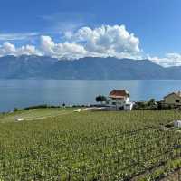 🍇🌿 Weekend Escape to Lavaux Vineyard Terraces: Swiss Wine & Alpine Views