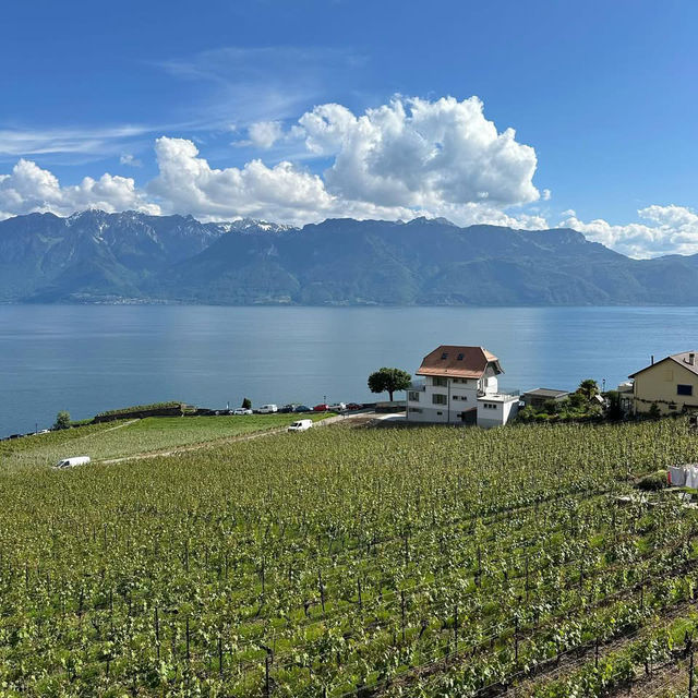 🍇🌿 Weekend Escape to Lavaux Vineyard Terraces: Swiss Wine & Alpine Views
