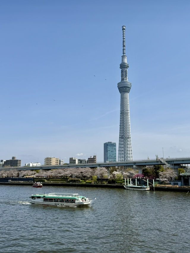 Snack, Stroll & Soak It In – A Day Between Kuramae & Asakusa