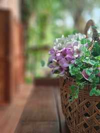 บ้านไร่ ไออรุณ สูดกลิ่นไอธรรมชาติให้เต็มปอด