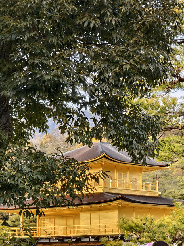 京都世界文化遺產金閣寺