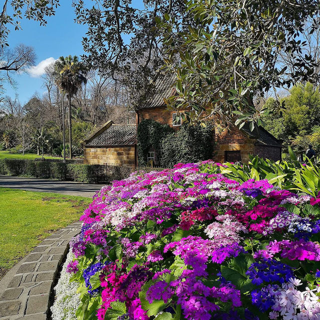 Springtime Magic in Melbourne 🌿☀️  