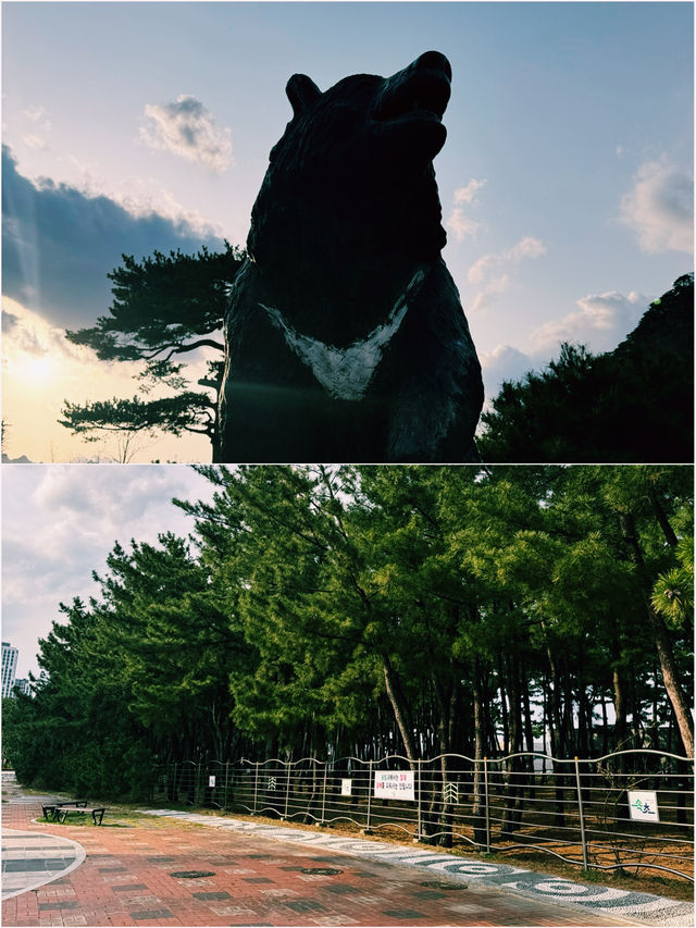 속초여향 가이드 