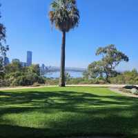 Kings Park and Botanic Garden
