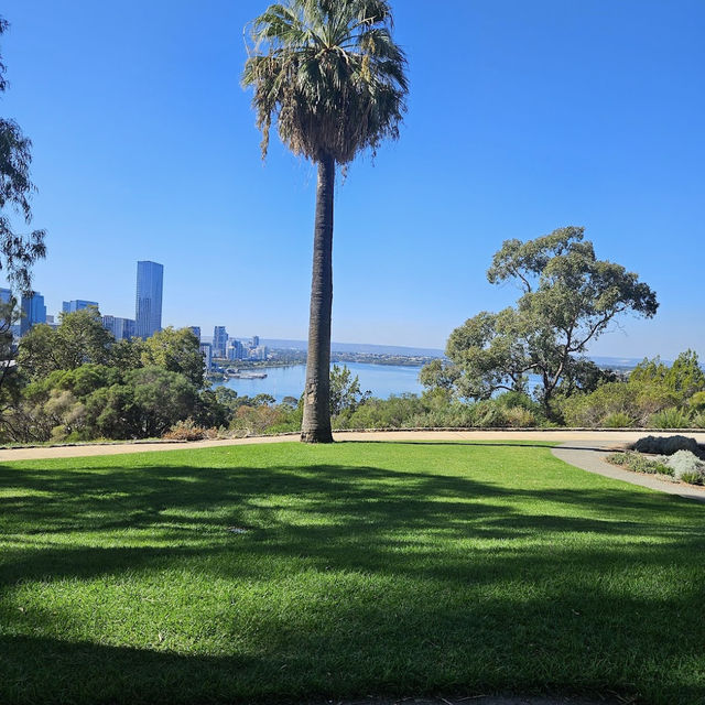 Kings Park and Botanic Garden
