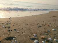 เที่ยว..หาดชะอำ